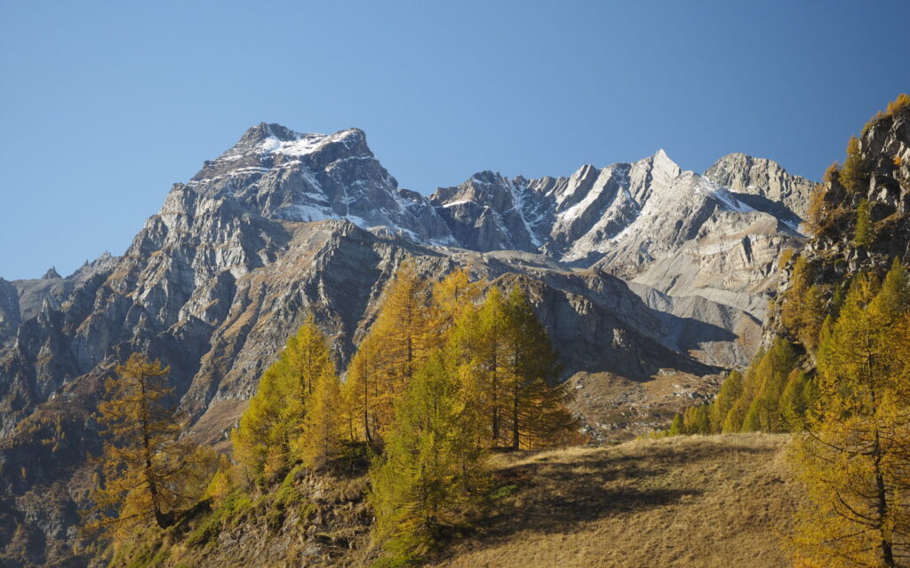 Ambienti Rocciosi